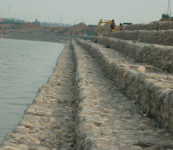 a02.jpg